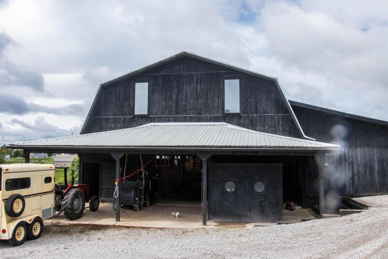 Farmhouse Of Blessings Dundee 外观 照片